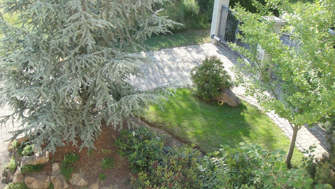 Ferienwohnung Dennstedt Wilkau-Hasslau Dış mekan fotoğraf